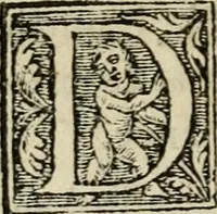 Picture 14 of 48 from Aresta amorum, accuratissimis Benedicti Curtii Symphoriani commentarius ad utriusque juris rationem, forensiumque actionum usum, quam acutissime accommodata (1546), leaf 149