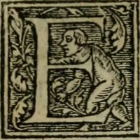 Picture 16 of 48 from Aresta amorum, accuratissimis Benedicti Curtii Symphoriani commentarius ad utriusque juris rationem, forensiumque actionum usum, quam acutissime accommodata (1546), leaf 180