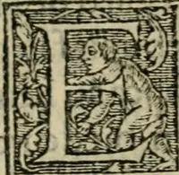 Picture 19 of 48 from Aresta amorum, accuratissimis Benedicti Curtii Symphoriani commentarius ad utriusque juris rationem, forensiumque actionum usum, quam acutissime accommodata (1546), leaf 201