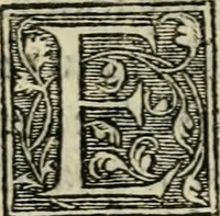 Picture 21 of 48 from Aresta amorum, accuratissimis Benedicti Curtii Symphoriani commentarius ad utriusque juris rationem, forensiumque actionum usum, quam acutissime accommodata (1546), leaf 231