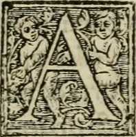 Picture 24 of 48 from Aresta amorum, accuratissimis Benedicti Curtii Symphoriani commentarius ad utriusque juris rationem, forensiumque actionum usum, quam acutissime accommodata (1546), leaf 249