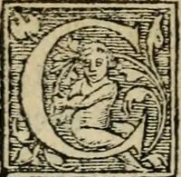 Picture 25 of 48 from Aresta amorum, accuratissimis Benedicti Curtii Symphoriani commentarius ad utriusque juris rationem, forensiumque actionum usum, quam acutissime accommodata (1546), leaf 259