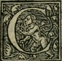 Picture 26 of 48 from Aresta amorum, accuratissimis Benedicti Curtii Symphoriani commentarius ad utriusque juris rationem, forensiumque actionum usum, quam acutissime accommodata (1546), leaf 264