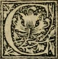 Picture 27 of 48 from Aresta amorum, accuratissimis Benedicti Curtii Symphoriani commentarius ad utriusque juris rationem, forensiumque actionum usum, quam acutissime accommodata (1546), leaf 275