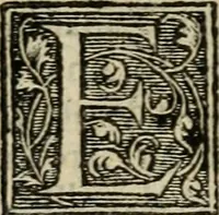 Picture 30 of 48 from Aresta amorum, accuratissimis Benedicti Curtii Symphoriani commentarius ad utriusque juris rationem, forensiumque actionum usum, quam acutissime accommodata (1546), leaf 295