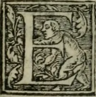 Picture 31 of 48 from Aresta amorum, accuratissimis Benedicti Curtii Symphoriani commentarius ad utriusque juris rationem, forensiumque actionum usum, quam acutissime accommodata (1546), leaf 300