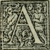 An illustration from Aresta amorum, accuratissimis Benedicti Curtii Symphoriani commentarius ad utriusque juris rationem, forensiumque actionum usum, quam acutissime accommodata (1546)