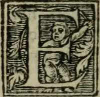 Picture 33 of 48 from Aresta amorum, accuratissimis Benedicti Curtii Symphoriani commentarius ad utriusque juris rationem, forensiumque actionum usum, quam acutissime accommodata (1546), leaf 330