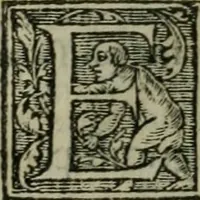 An illustration from Aresta amorum, accuratissimis Benedicti Curtii Symphoriani commentarius ad utriusque juris rationem, forensiumque actionum usum, quam acutissime accommodata (1546)