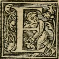 Picture 35 of 48 from Aresta amorum, accuratissimis Benedicti Curtii Symphoriani commentarius ad utriusque juris rationem, forensiumque actionum usum, quam acutissime accommodata (1546), leaf 355