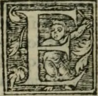 Picture 37 of 48 from Aresta amorum, accuratissimis Benedicti Curtii Symphoriani commentarius ad utriusque juris rationem, forensiumque actionum usum, quam acutissime accommodata (1546), leaf 362