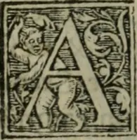 Picture 40 of 48 from Aresta amorum, accuratissimis Benedicti Curtii Symphoriani commentarius ad utriusque juris rationem, forensiumque actionum usum, quam acutissime accommodata (1546), leaf 374