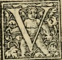 Picture 41 of 48 from Aresta amorum, accuratissimis Benedicti Curtii Symphoriani commentarius ad utriusque juris rationem, forensiumque actionum usum, quam acutissime accommodata (1546), leaf 377