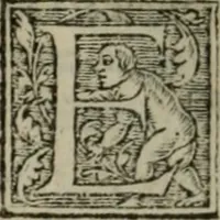 Picture 42 of 48 from Aresta amorum, accuratissimis Benedicti Curtii Symphoriani commentarius ad utriusque juris rationem, forensiumque actionum usum, quam acutissime accommodata (1546), leaf 382
