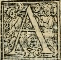 Picture 43 of 48 from Aresta amorum, accuratissimis Benedicti Curtii Symphoriani commentarius ad utriusque juris rationem, forensiumque actionum usum, quam acutissime accommodata (1546), leaf 393