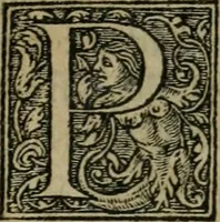 Picture 45 of 48 from Aresta amorum, accuratissimis Benedicti Curtii Symphoriani commentarius ad utriusque juris rationem, forensiumque actionum usum, quam acutissime accommodata (1546), leaf 408