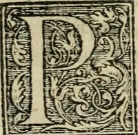 Picture 46 of 48 from Aresta amorum, accuratissimis Benedicti Curtii Symphoriani commentarius ad utriusque juris rationem, forensiumque actionum usum, quam acutissime accommodata (1546), leaf 425