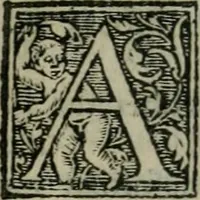 Picture 47 of 48 from Aresta amorum, accuratissimis Benedicti Curtii Symphoriani commentarius ad utriusque juris rationem, forensiumque actionum usum, quam acutissime accommodata (1546), leaf 434