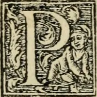 Picture 7 of 48 from Aresta amorum, accuratissimis Benedicti Curtii Symphoriani commentarius ad utriusque juris rationem, forensiumque actionum usum, quam acutissime accommodata (1546), leaf 53