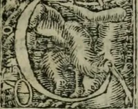 Picture 2 of 48 from Aresta amorum, accuratissimis Benedicti Curtii Symphoriani commentarius ad utriusque juris rationem, forensiumque actionum usum, quam acutissime accommodata (1546), leaf 6