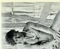 An illustration from Argonauts of the western Pacific; an account of native enterprise and adventure in the Archipelagoes of Melanesian New Guinea. With a pref. by Sir James George Frazer (1922)