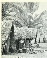 An illustration from Argonauts of the western Pacific; an account of native enterprise and adventure in the Archipelagoes of Melanesian New Guinea. With a pref. by Sir James George Frazer (1922)