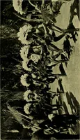 An illustration from Argonauts of the western Pacific; an account of native enterprise and adventure in the archipelagoes of Melanesian New Guinea (1922)