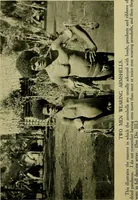 An illustration from Argonauts of the western Pacific; an account of native enterprise and adventure in the archipelagoes of Melanesian New Guinea (1922)