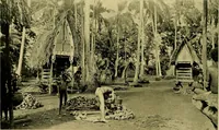 Picture 46 of 80 from Argonauts of the western Pacific; an account of native enterprise and adventure in the archipelagoes of Melanesian New Guinea (1922), leaf 215