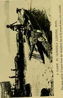 Picture 61 of 80 from Argonauts of the western Pacific; an account of native enterprise and adventure in the archipelagoes of Melanesian New Guinea (1922), leaf 367