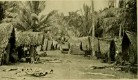 An illustration from Argonauts of the western Pacific; an account of native enterprise and adventure in the archipelagoes of Melanesian New Guinea (1922)