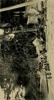 An illustration from Argonauts of the western Pacific; an account of native enterprise and adventure in the archipelagoes of Melanesian New Guinea (1922)