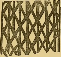 An illustration from Ariadne florentina; six lectures on wood and metal engraving, with appendix; given before the University of Oxford in Michaelmas term, 1872. (1892)