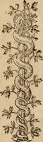 An illustration from Aristotelis De reip. bene administrandae ratione : libri octo (1567)