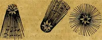 Picture 65 of 90 from Aristotelis Stagyritae Libri de Coelo IIII (1519), leaf 407