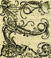 An illustration from Aristotelis Stagyritae Libri de Coelo IIII (1519)