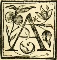 An illustration from Aritmetica pratica (1765)