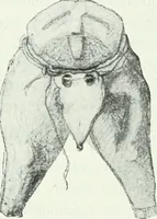 An illustration from Arktiske skinddragter i Eurasien og Amerika; en etnografisk studie (1914)