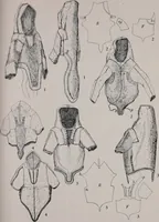 An illustration from Arktiske skinddragter i Eurasien og Amerika; en etnografisk studie (1914)