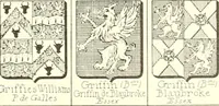 An illustration from Armoiries des familles contenues dans l'Armorial général de J.B. Rieststap [sic] (1903)