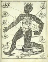 An illustration from Armonia astro-medico-anotomica; o' sia, Colleganza degl'astri con il microcosmo, e di questo con i v (1690)