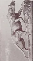 An illustration from Armor bronze : artistic and ideal gifts in book ends, door stops, art objects, table and floor lamps (1900)