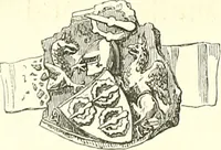 Picture 134 of 197 from Armorial of Jersey : being an account, heraldic and antiquarian, of its chief native families, with pedigrees, biographical notices, and illustrative data; to which are added, a brief history of heraldry, and remarks on the mediæval antiquities of the island (1859), leaf 411