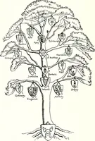 An illustration from Arms of the Scottish Bishoprics (1917)