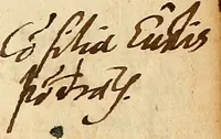 Picture 16 of 34 from Arnoldi Ferroni Burdigalensis, regij consiliarij, : De rebus gestis Gallorum libri IX. Ad Historiam Pavli Aemylii additi, perducta historia usque ad terpora Henrici II, Francorum regis. [Paralipomena Gallicanae historiae ad P. Aemylivm et Ferronvm, adiecta. Per Ioannem Thomam Freigivm] (1569), leaf 242