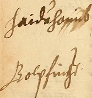 Picture 24 of 34 from Arnoldi Ferroni Burdigalensis, regij consiliarij, : De rebus gestis Gallorum libri IX. Ad Historiam Pavli Aemylii additi, perducta historia usque ad terpora Henrici II, Francorum regis. [Paralipomena Gallicanae historiae ad P. Aemylivm et Ferronvm, adiecta. Per Ioannem Thomam Freigivm] (1569), leaf 419