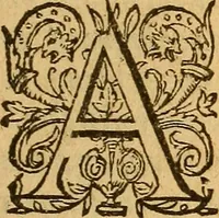 Picture 3 of 29 from Aromatum, et simplicium aliquot medicamentorum apud Indos nascentium historia : ante biennium quidem Lusitanica lingua per dialogos conscripta (1567), leaf 12