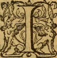 An illustration from Aromatum, et simplicium aliquot medicamentorum apud Indos nascentium historia : ante biennium quidem Lusitanica lingua per dialogos conscripta (1567)