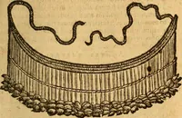 Picture 26 of 29 from Aromatum, et simplicium aliquot medicamentorum apud Indos nascentium historia : ante biennium quidem Lusitanica lingua per dialogos conscripta (1567), leaf 232