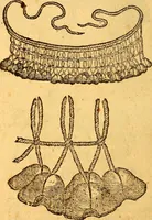 Picture 28 of 29 from Aromatum, et simplicium aliquot medicamentorum apud Indos nascentium historia : ante biennium quidem Lusitanica lingua per dialogos conscripta (1567), leaf 233